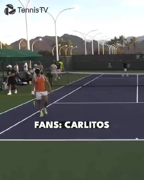 辛纳驾车购物遇球迷抱卷纸签名引热议